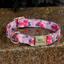 Printed Waterproof Personalized Collars And Leashes - CurliTail
