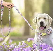 Personalized Dog ID Collars Wedding dog collars 2021 designer dog collars floral dog collars bow dog collars CurliTail