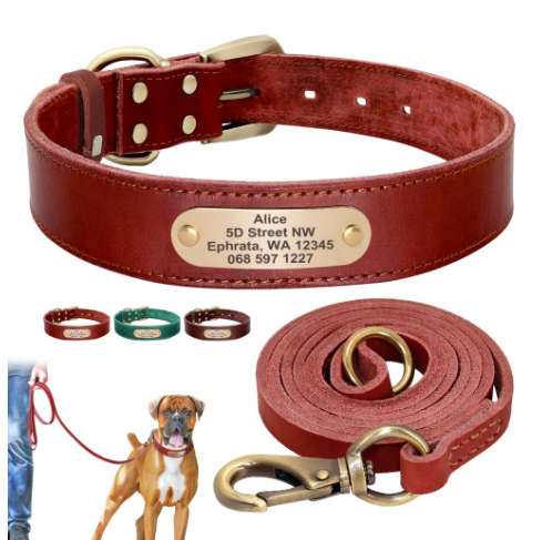 Personalized Leather dog ID Collar All weather leather dog collars water proof dog collars CurliTail