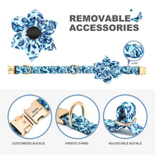 Multidesign Flower Dog Collar: Personalized Accessory in multiple colors - CurliTail