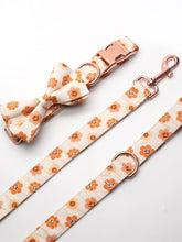 Cute Smiley Flower: Personalized Bow Collar And Leash - CurliTail
