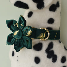 Sparkle With Green: Personalized Pet Flower Collar And Leash - CurliTail