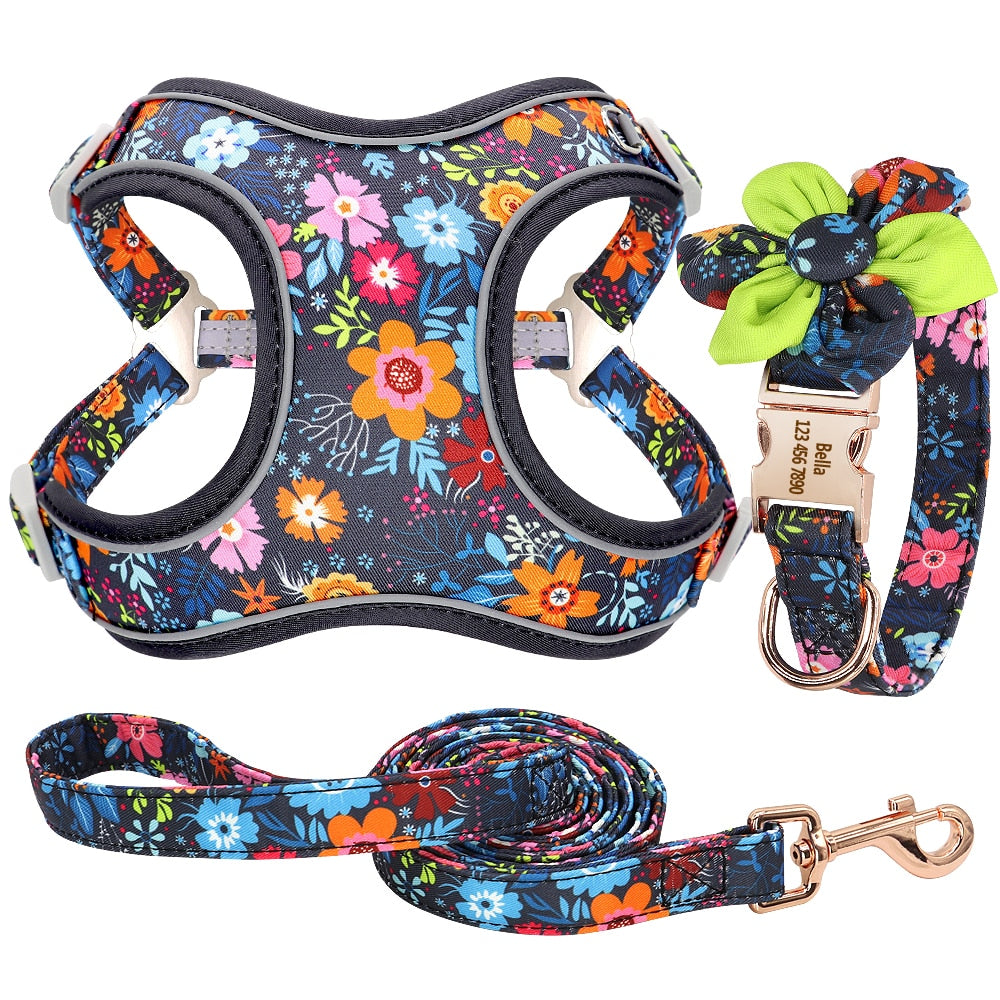 Magical Black: Personalized SET/Collars/Leash/Harness