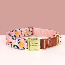 Shades Of PU Leather Collars: Personalized - CurliTail