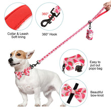 Patterns And Shades: Bow Collar, Leash And Poop Bag Pack - CurliTail