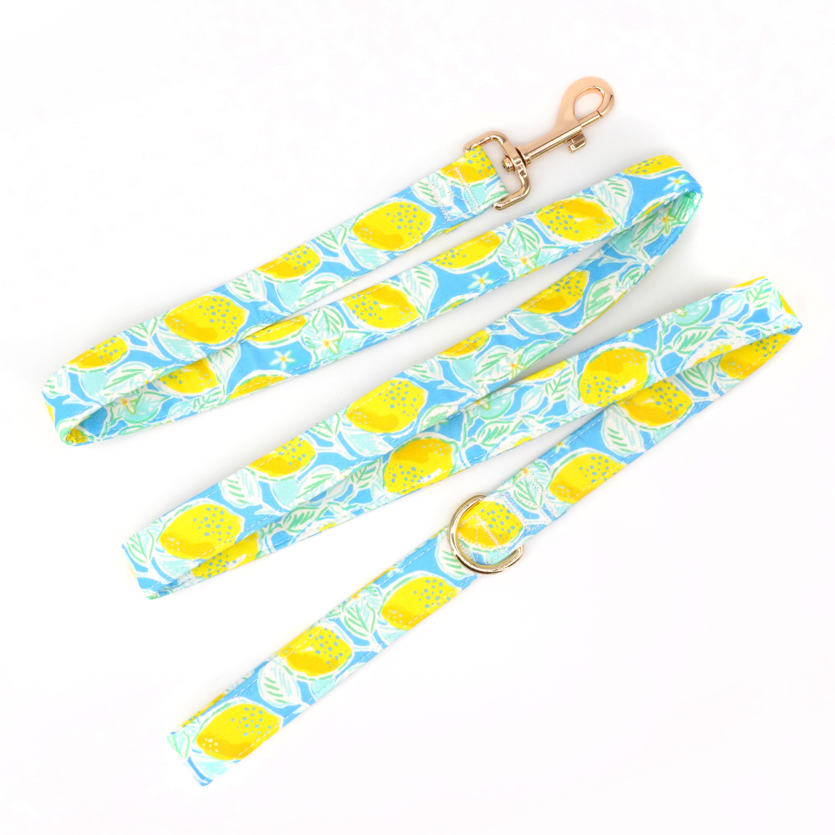 Summer Lemon Dog Collar Bowtie with Matching Leash | Personalized