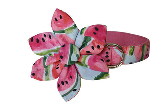 Theme Based Dog Collars, Watermelon Collars Flower Collars for dogs