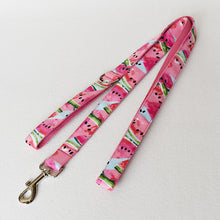 Theme Based Dog Collars, Watermelon Collars Flower Collars for dogs