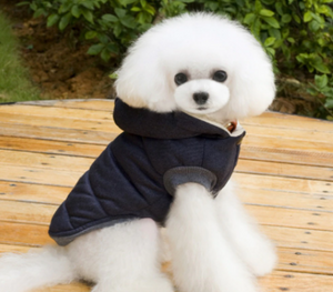 Warm Pet Jacket - Curli Tail