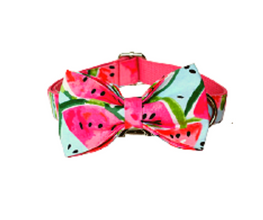 Theme Based Dog Collars, Watermelon Collars Flower Collars for dogs