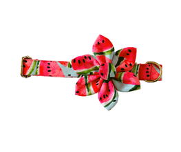 Theme Based Dog Collars, Watermelon Collars Flower Collars for dogs