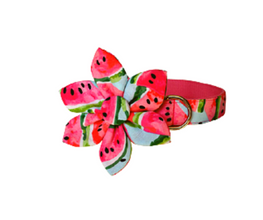 Theme Based Dog Collars, Watermelon Collars Flower Collars for dogs