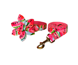 Theme Based Dog Collars, Watermelon Collars Flower Collars for dogs