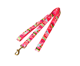 Theme Based Dog Collars, Watermelon Collars Flower Collars for dogs