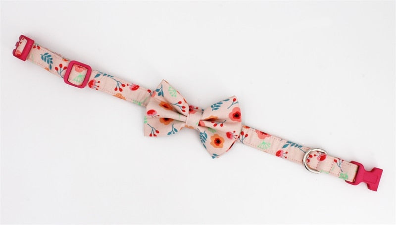 Floral Season: Personalized Collars And Leashes - CurliTail