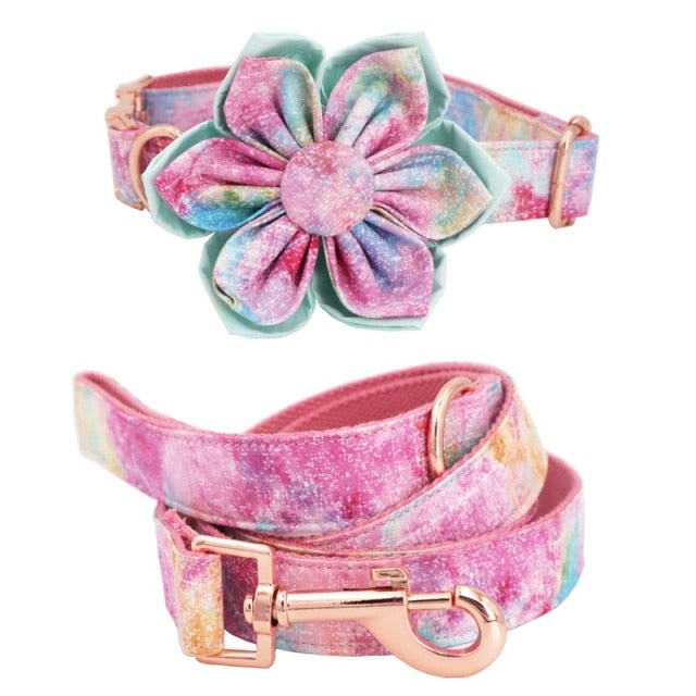 Latest Floral Dog Collar and Leash Set | Personalized Dog ID Collars