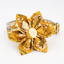 Trendy Mustard Yellow Floral Flower Collar |  Personalized Dog ID Collars - CurliTail