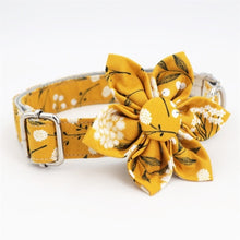 Trendy Mustard Yellow Floral Flower Collar |  Personalized Dog ID Collars - CurliTail