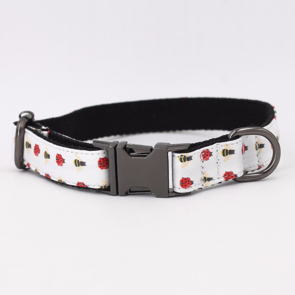 Bee Buzz: Personalized Collars And Leashes - CurliTail
