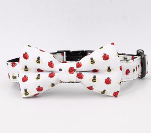 Bee Buzz: Personalized Collars And Leashes