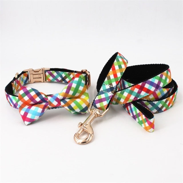 Fashion Colorful Personalized Dog ID Collar Leash set