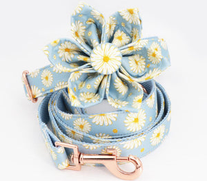 Blue Daisy Personalized Dog ID Collar | Flower Collar and Leash Set 