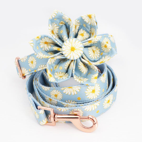 Blue Daisy Personalized Dog ID Collar | Flower Collar and Leash Set 