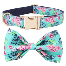 Spring Showers: Personalized Collars And Leashes - CurliTail
