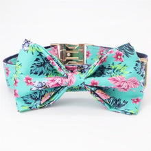 Spring Showers: Personalized Collars And Leashes - CurliTail