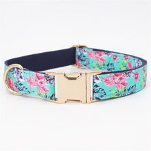 Spring Showers: Personalized Collars And Leashes - CurliTail