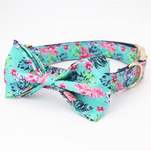Spring Showers: Personalized Collars And Leashes - CurliTail