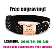 Personalized Polka Dots Pet Collar And Leash - CurliTail
