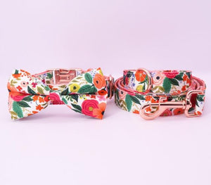 Magical Florals Bow Collar And Leash: Personalized