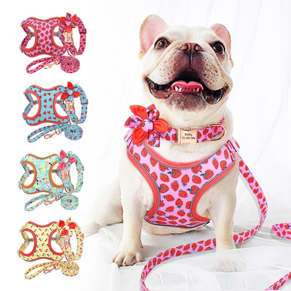 Strawberry Love: Personalized SET: Collar, Leash And Harness