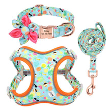 Fresh Fruit Love: Personalized SET/Collars/Leash/Harness - CurliTail