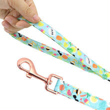 Fresh Fruit Love: Personalized SET/Collars/Leash/Harness - CurliTail