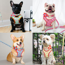 Cherry Fruit Love: Personalized SET/Collar, Leash And Harness - CurliTail