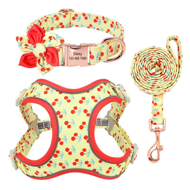 Cherry Fruit Love: Personalized SET/Collar, Leash And Harness - CurliTail