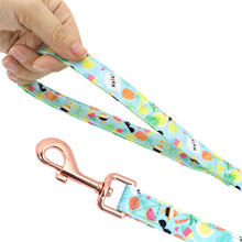 Fresh Fruit Love: Personalized SET/Collars/Leash/Harness - CurliTail