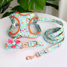 Fresh Fruit Love: Personalized SET/Collars/Leash/Harness - CurliTail