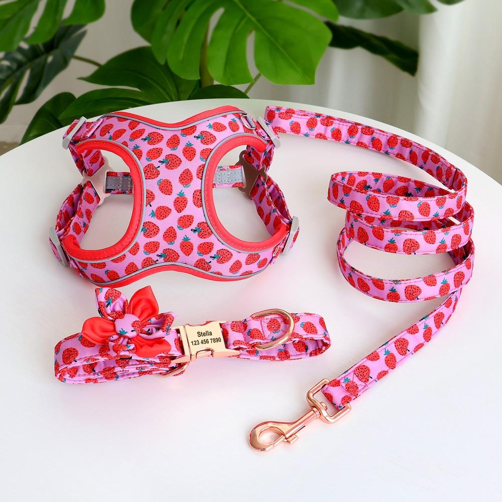 Strawberry Love: Personalized SET: Collar, Leash And Harness - CurliTail