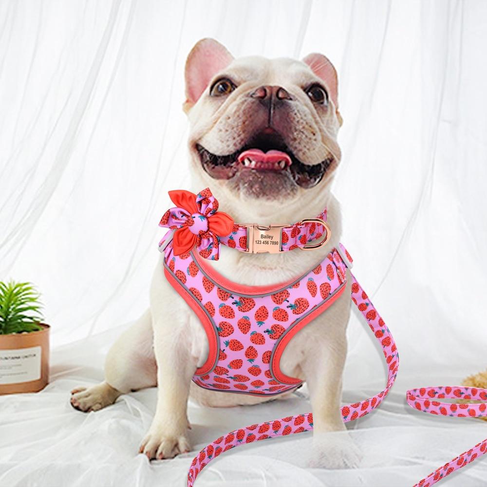 Strawberry Love: Personalized SET: Collar, Leash And Harness