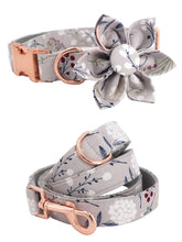 Grey Floral Flower Dog Collar And Leash - CurliTail