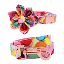 Bubbles Print Collar Leash Set | Personalized Dog ID Collar - CurliTail