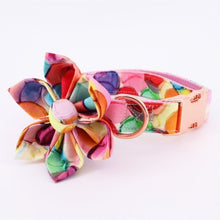 Bubbles Print Collar Leash Set | Personalized Dog ID Collar - CurliTail