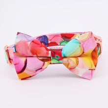 Bubbly Bubbles: Personalized Bowtie And Leash Set - CurliTail