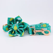 Pineapple Trends: Personalized Flower Collars And Leashes - CurliTail