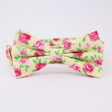 Autumn Design Free Personalized ID Bow Collars Leash Set - CurliTail