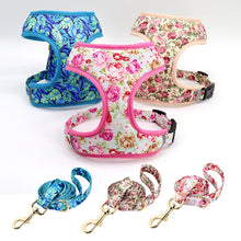 Printed Dog Harness Leash Set | Soft Mesh | Adjustable Walking Lead - CurliTail