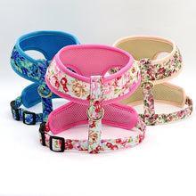 Printed Dog Harness Leash Set | Soft Mesh | Adjustable Walking Lead - CurliTail